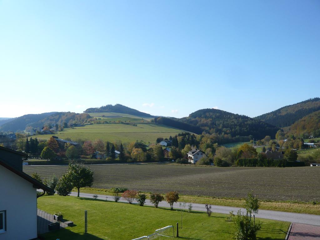 Haus Talblick Vila Willingen  Exterior foto