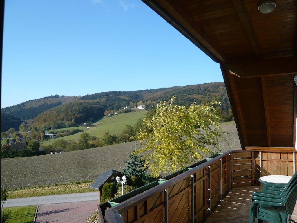 Haus Talblick Vila Willingen  Exterior foto